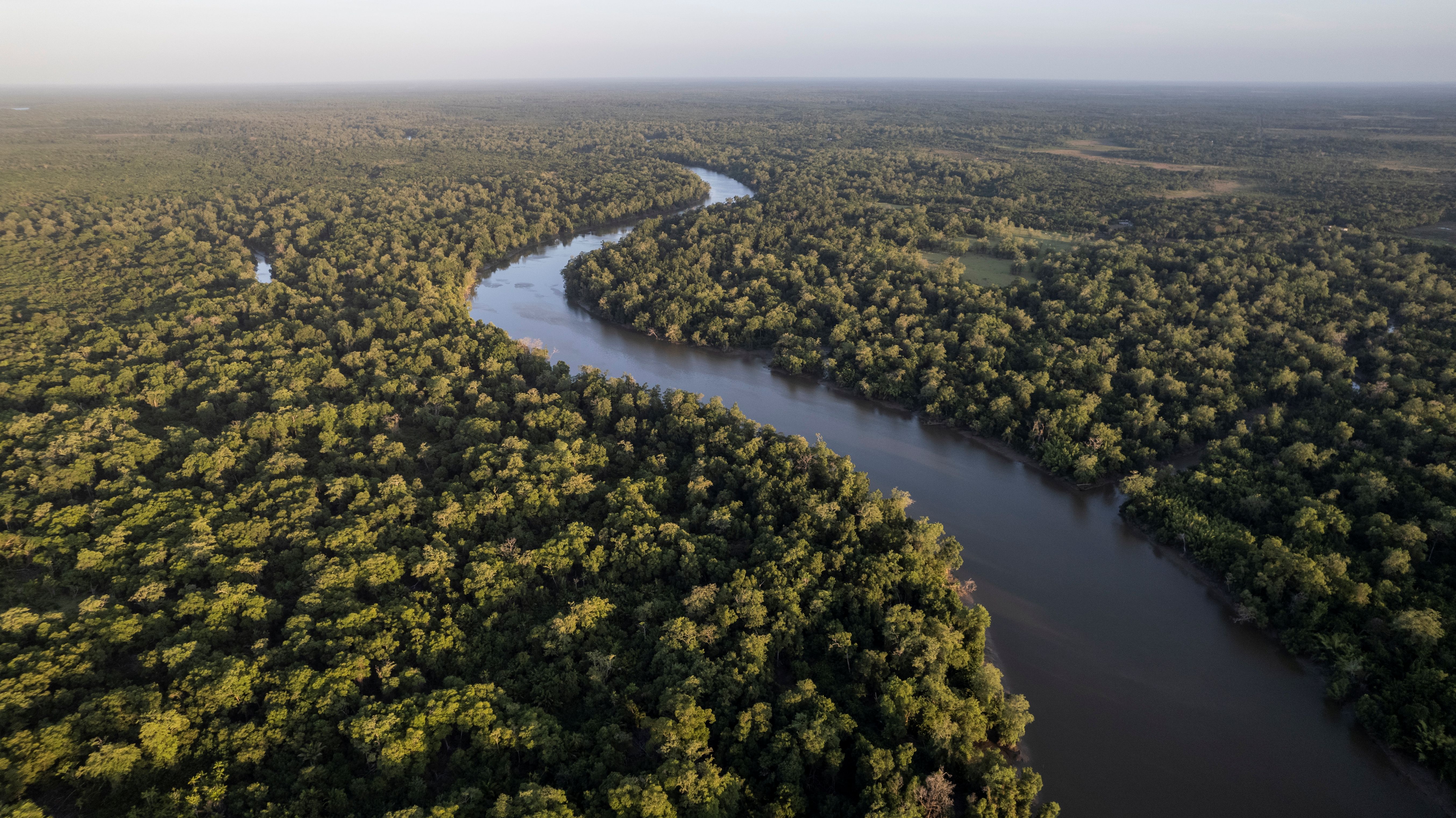 Floresta Amazônica